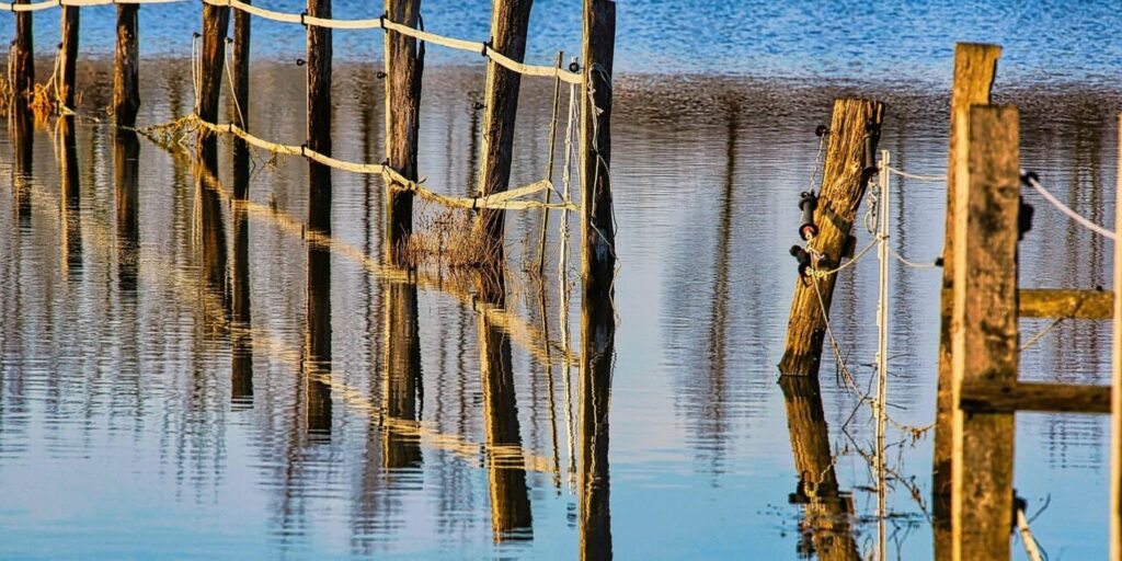 local handyman jacksonville