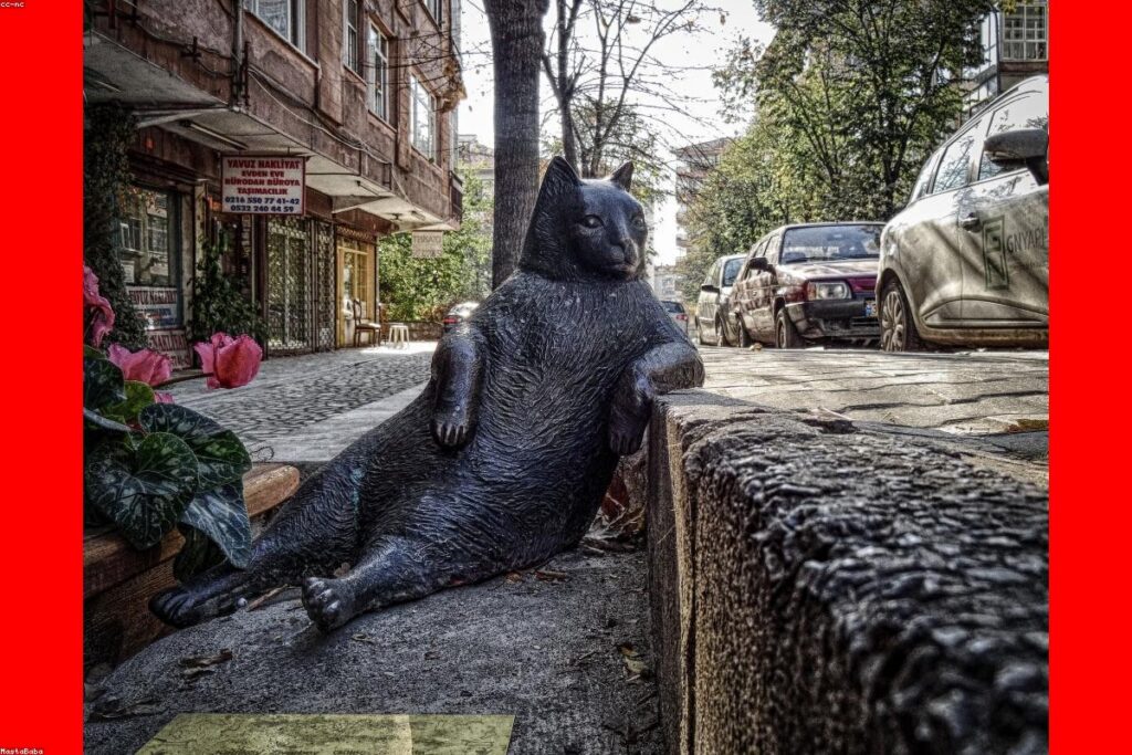 When Should I Repair vs. Replace My Deck in Jacksonville Beach?