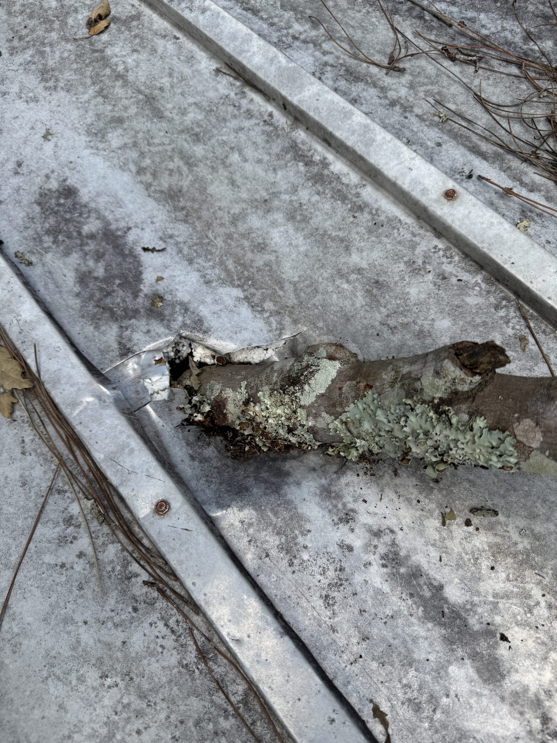 Storm-damaged patio roof with a hole before a Jacksonville patio roof patch, view 4